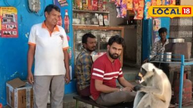 Ajab Gajab: पाली में अनोखी दोस्ती, चाय की टपरी पर रोज आता है बंदर, लोगों संग करता है नाश्ता, देखें तस्वीर