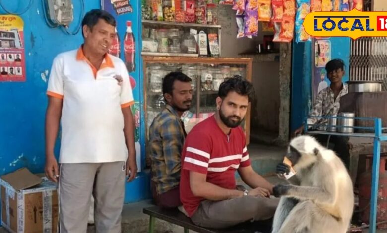 Ajab Gajab: पाली में अनोखी दोस्ती, चाय की टपरी पर रोज आता है बंदर, लोगों संग करता है नाश्ता, देखें तस्वीर