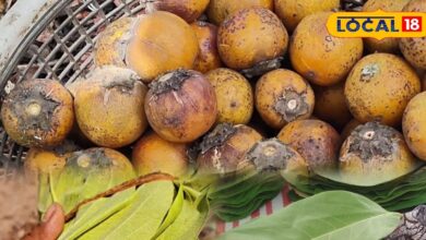 Benefits of Tendu Leaves | टिमरू के पत्तों के औषधीय लाभ | Ayurvedic Benefits of Tendu Leaves for Skin and Sugar