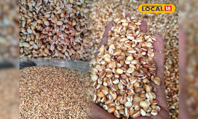 Bhune Jau ke Phayade: क्या आप जानते हैं भूना जौ क्यों है खास? जानें ठंडक और एनर्जी का देसी फॉर्मूला