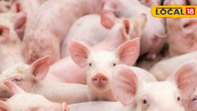 Business Idea: किसान भाई! खेती के साथ शुरू करें ये सुपरहिट बिजनेस, जेब कभी नहीं रहेगी खाली, बन जाएंगे मालामाल - Uttar Pradesh News