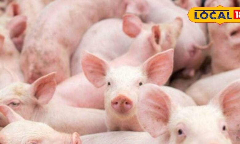 Business Idea: किसान भाई! खेती के साथ शुरू करें ये सुपरहिट बिजनेस, जेब कभी नहीं रहेगी खाली, बन जाएंगे मालामाल - Uttar Pradesh News