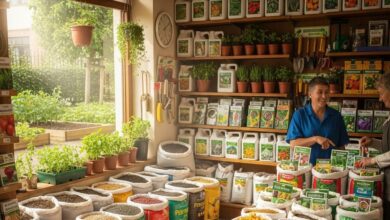 Business Idea: खाद-बीज का करना चाहते हैं बिजनेस, तो करें ये काम आसानी से मिल जाएगा लाइसेंस, होगी अच्छी कमाई!