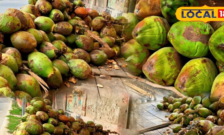 Coconut Water Price | भरतपुर में नारियल पानी की मांग