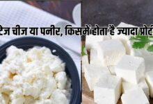 Cottage Cheese Vs Paneer: कॉटेज चीज और पनीर में फर्क है? किसमें ज्यादा प्रोटीन, सेहत के लिए क्या है हेल्दी ऑप्शन, जानें दोनों का अंतर