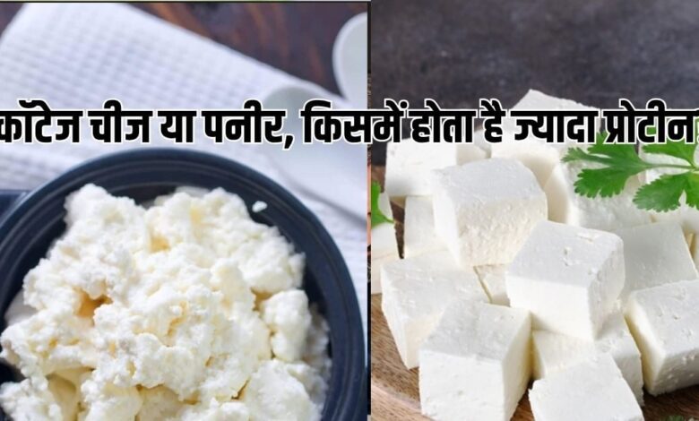 Cottage Cheese Vs Paneer: कॉटेज चीज और पनीर में फर्क है? किसमें ज्यादा प्रोटीन, सेहत के लिए क्या है हेल्दी ऑप्शन, जानें दोनों का अंतर