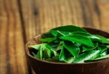 Curry Leaves Side Effects: करी पत्ते के फायदे ही नहीं नुकसान भी हैं, इन 5 तरह के लोगों को करना चाहिए परहेज