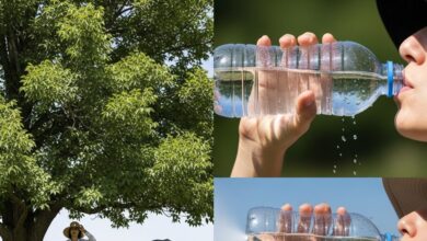 Heat Stroke Alert : लू के तांडव के बीच हीट स्ट्रोक से बचने के लिए डॉक्टर की ये बातें जरूर मानें