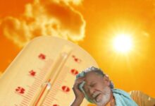 Heat Stroke: हीट स्ट्रोक क्या होता है? गर्मी में कैसे रहें हेल्दी, जानें जरूरी हेल्थ गाइड