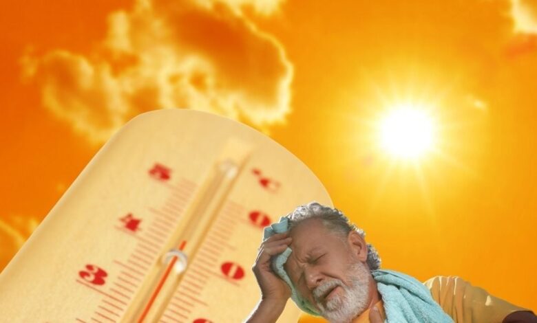 Heat Stroke: हीट स्ट्रोक क्या होता है? गर्मी में कैसे रहें हेल्दी, जानें जरूरी हेल्थ गाइड