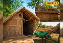 Heat Waves: जब AC फेल, तब देसी कमाल… भरतपुर की झोपड़ियां कैसे हर गर्मी को मात दे रही हैं