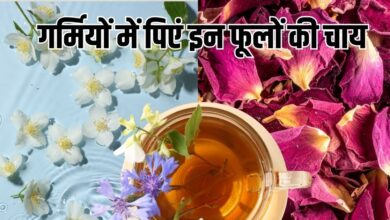 Herbal Flower Tea: चमेली से गुलाब तक, गर्मियों में पिएं इन 10 फूलों की चाय, पूरे दिन बनी रहेगी ताजगी और एनर्जी