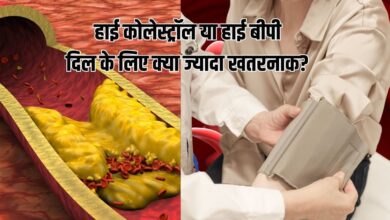 High Cholesterol Vs High Blood Pressure: हाई कोलेस्ट्रॉल या हाई बीपी? दिल को किससे ज्यादा खतरा