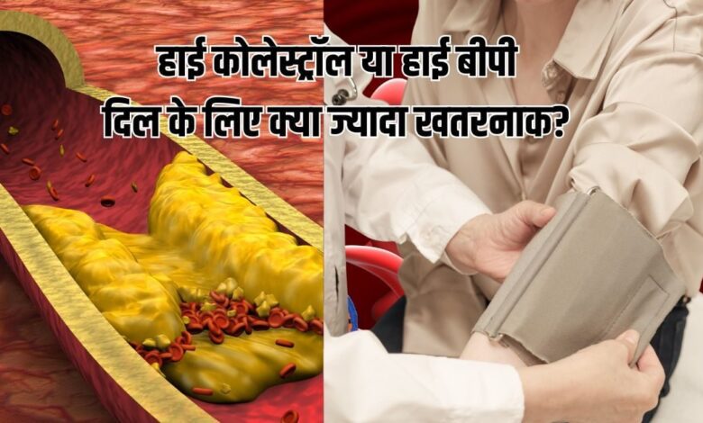 High Cholesterol Vs High Blood Pressure: हाई कोलेस्ट्रॉल या हाई बीपी? दिल को किससे ज्यादा खतरा