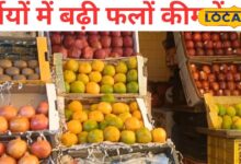 Jaipur Fruit Market Price Hike | जयपुर में फलों के दाम बढ़े