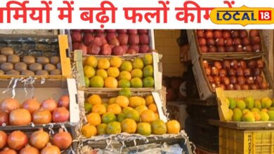 Jaipur Fruit Market Price Hike | जयपुर में फलों के दाम बढ़े
