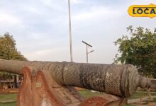 Jaldar Cannon History | धौलपुर की ऐतिहासिक जालदार तोप