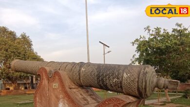 Jaldar Cannon History | धौलपुर की ऐतिहासिक जालदार तोप