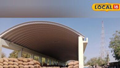 Jeera Mandi Price: अमेरिका-ईरान तनाव का सीधा असर! सांचौर में जीरे के दाम 200 से नीचे, किसानों में मची हाहाकार