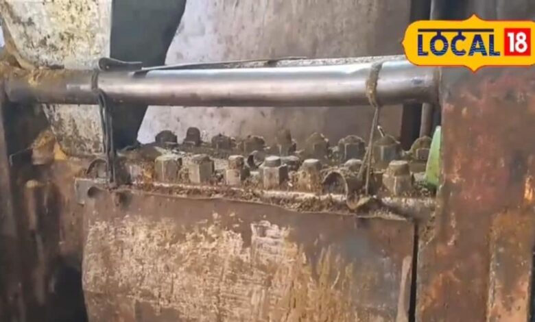 Khairthal Mustard Oil Industry Success Story | खैरथल सरसों तेल की शुद्धता