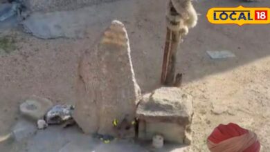 Paniya Nada Temple | जालौर पनिया नाडा मंदिर का इतिहास और चमत्कार