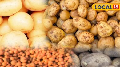 Potato Storage Tips in Summer | How to store potatoes in summer to prevent rotting | गर्मियों में आलू स्टोर करने के टिप्स