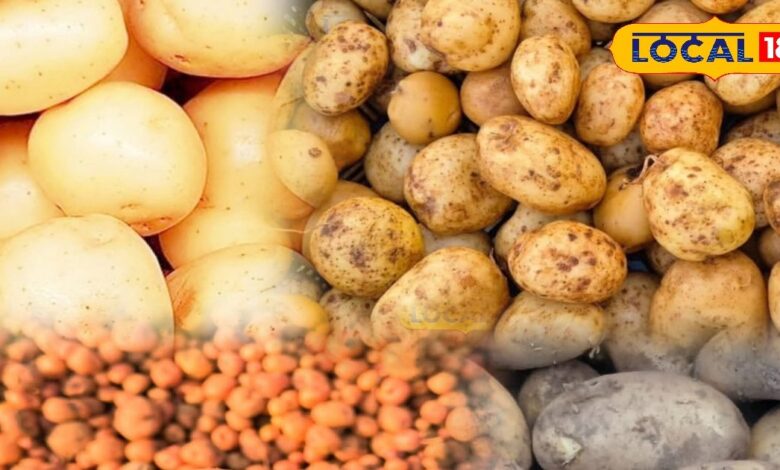 Potato Storage Tips in Summer | How to store potatoes in summer to prevent rotting | गर्मियों में आलू स्टोर करने के टिप्स