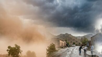 Rajasthan Weather Update | Rajasthan District Wise Temperature | IMD Alert | IMD Weather Update