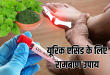 5 मिनट में बनाएं ये चटनी, यूरिक एसिड होगा कंट्रोल, दर्द-सूजन से दिलाएगी राहत