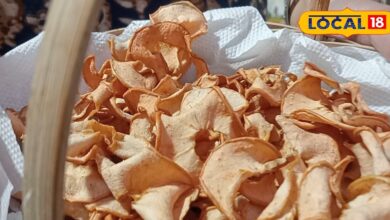 apple farming | fruit processing business idea