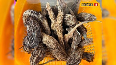 dry bitter gourd benefits | natural ways to control diabetes | सूखे करेले के फायदे |