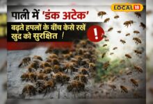 अचानक क्यों बढ़ गए मधुमक्खियों के हमले, विशेषज्ञों ने बता दिया बचाव का अचूक उपाय!