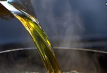 अधिक तेल का सेवन कई बीमारियों की जड़, मोटापा, कोलोस्ट्रॉल बढ़ने से होगी हार्ट डिजीज, डायबिटीज, जानें कितना यूज करें ऑयल