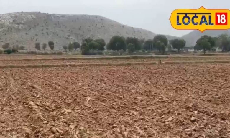 अलवर कपास खेती समाचार 2026 | Cotton Farming Tips Alwar Khairthal Rajasthan