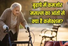 आंतों की सेहत है खराब तो बुढ़ापे में मांसपेशियां की बीमारी सारकोपेनिया का बढ़ता है रिस्क, 30-40% लोग होते हैं प्रभावित-स्टडी