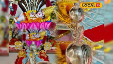 आखिर क्या है चांदी के 'अफीम पौधे' का राज, जिसे चढ़ाने एमपी से मालासेरी डूंगरी धाम दौड़ा चला आया किसान? – News18 हिंदी