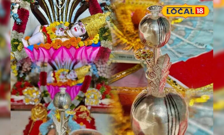 आखिर क्या है चांदी के 'अफीम पौधे' का राज, जिसे चढ़ाने एमपी से मालासेरी डूंगरी धाम दौड़ा चला आया किसान? – News18 हिंदी