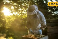 आज ही शुरू करें यह कारोबार, पहले महीने से ही होने लगेगी 1 लाख की आमदनी, साल भर आते रहेंगे नोट ही नोट