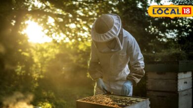 आज ही शुरू करें यह कारोबार, पहले महीने से ही होने लगेगी 1 लाख की आमदनी, साल भर आते रहेंगे नोट ही नोट