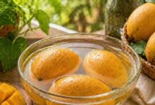 आम खाने का सही तरीका क्या है? जानिए गर्मियों में आम खाते समय किन बातों का रखें ध्यान, वरना बढ़ सकती है परेशानी!