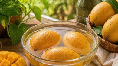 आम खाने का सही तरीका क्या है? जानिए गर्मियों में आम खाते समय किन बातों का रखें ध्यान, वरना बढ़ सकती है परेशानी!