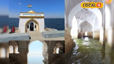 इस लेक व्यू प्वाइंट का कोई जवाब नहीं, नजारे इतने गजब कि मन को मिलती है शांति!