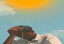 एक गलती.. लू, बुखार और डीहाइड्रेशन के हो सकते हैं शिकार, जानें क्या हैं लक्षण और बचाव के तरीके