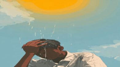 एक गलती.. लू, बुखार और डीहाइड्रेशन के हो सकते हैं शिकार, जानें क्या हैं लक्षण और बचाव के तरीके