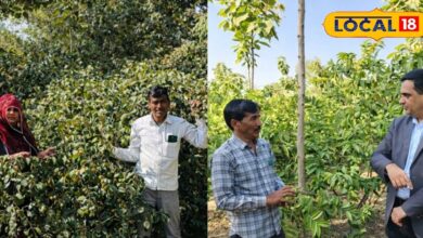 किसान लिखमाराम की सफलता | Farmer Likhamaram Success Story Nagaur