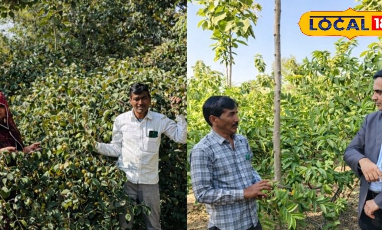 किसान लिखमाराम की सफलता | Farmer Likhamaram Success Story Nagaur