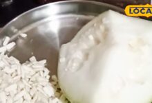 कूड़े में न फेंकें लौकी के बीज! दिल की बीमारी से लेकर बढ़ते वजन तक में है रामबाण, स्किन के लिए भी फायदेमंद