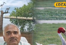 केवलादेव में सारस का जन्म