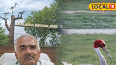 केवलादेव में सारस का जन्म