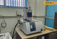 कैंसर सेल खत्म करने में कारगर?, पटना की लैब में हल्दी पर बड़ी रिसर्च